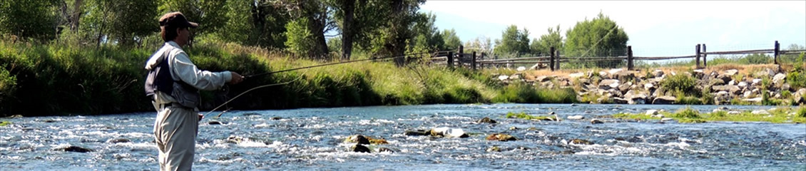 Angler casting
